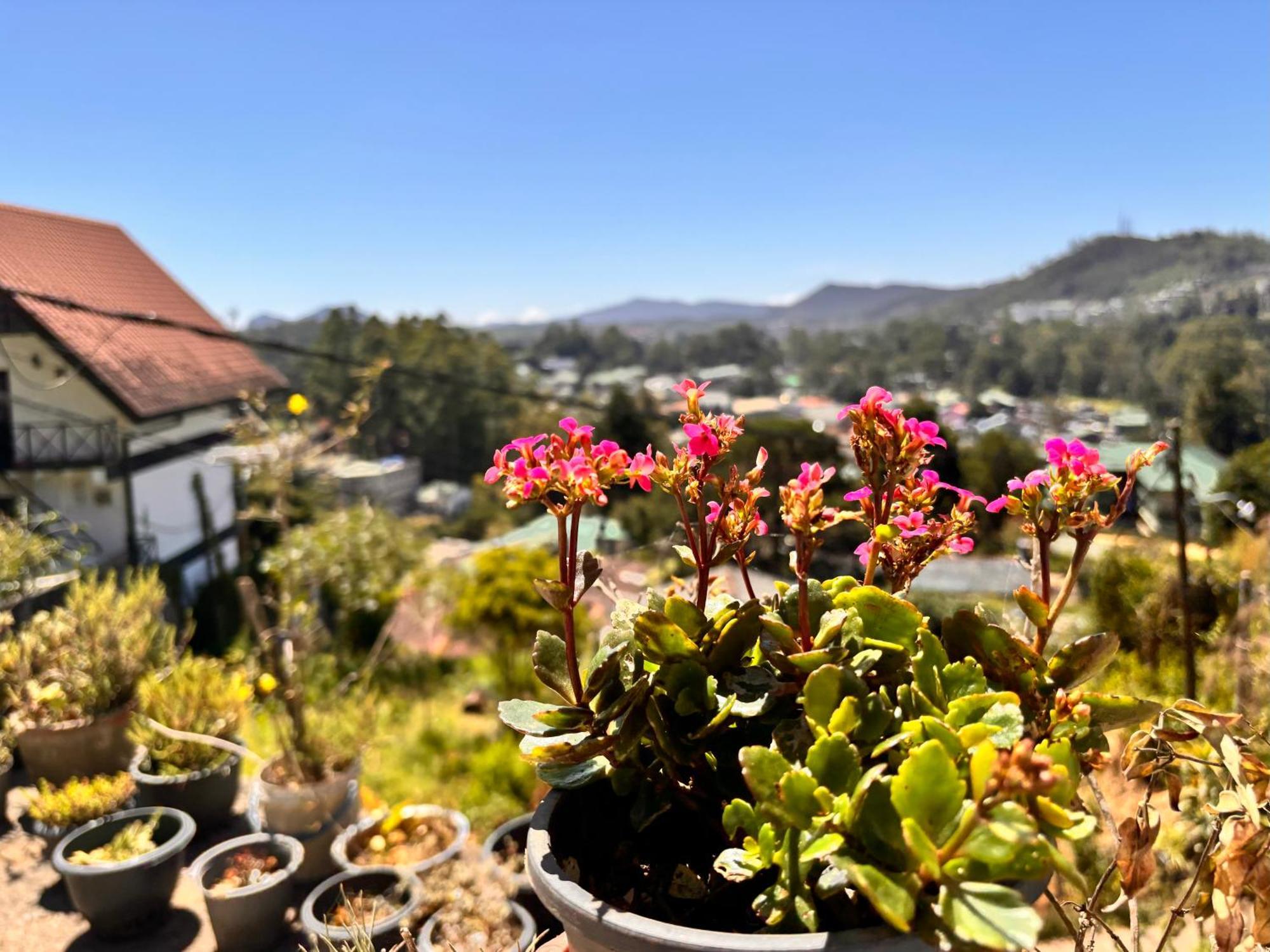 Shiny View Hotel Nuwara Eliya Exterior photo